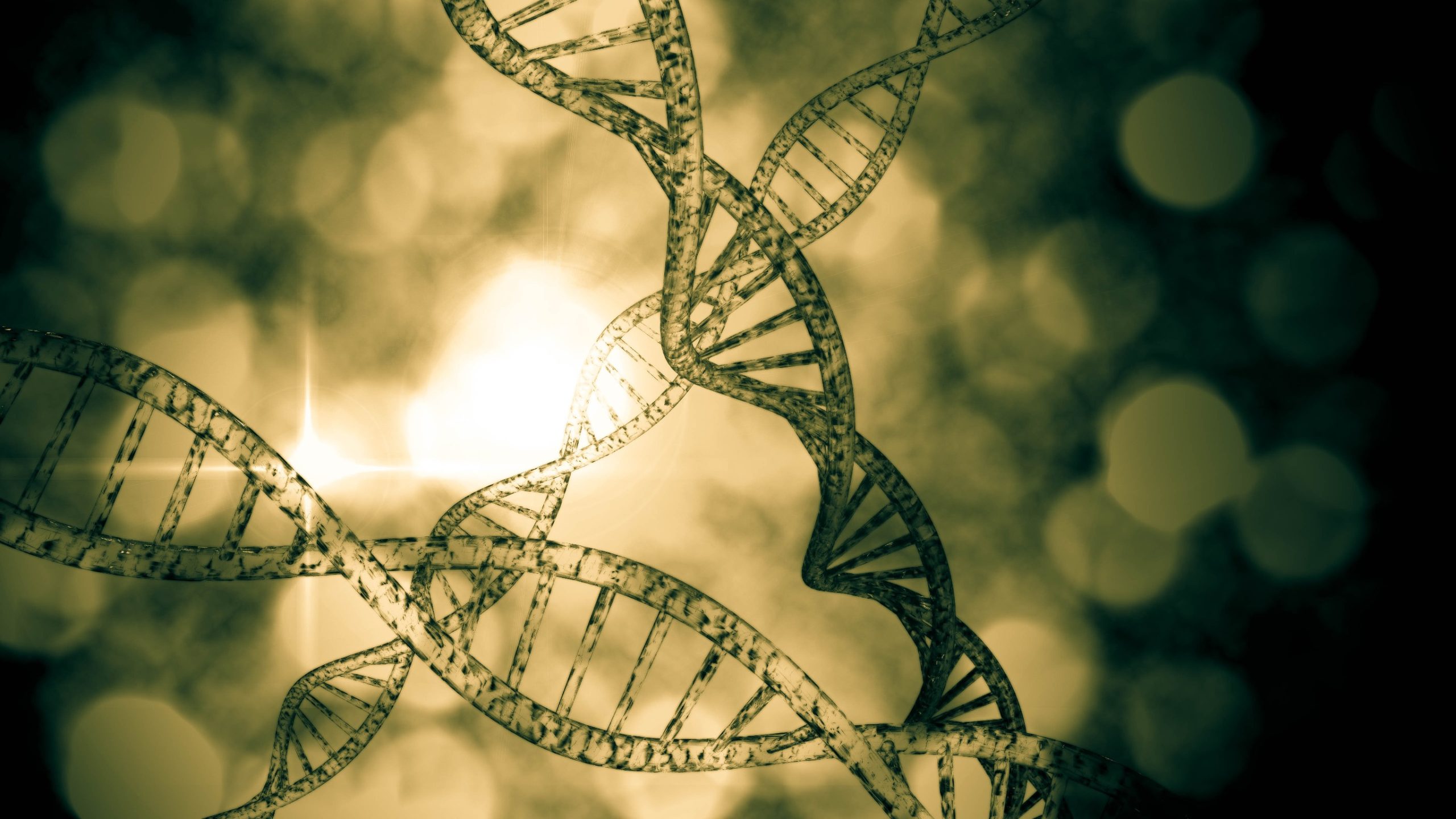 genetics affecting gout